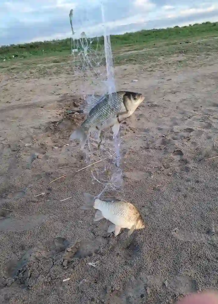 Відгук Василя